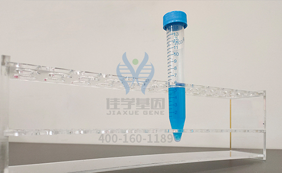 【佳学基因案例】白癜风基因检测、基因解码